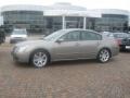 Pebble Beach Metallic - Maxima 3.5 SE Photo No. 1