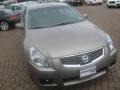 Pebble Beach Metallic - Maxima 3.5 SE Photo No. 8