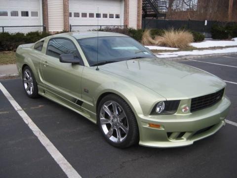 2005 Ford Mustang Saleen S281 Coupe Data, Info and Specs