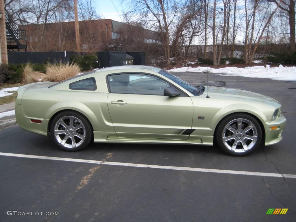 Legend Lime Metallic 2005 Ford Mustang Saleen S281 Coupe Exterior Photo #24719371