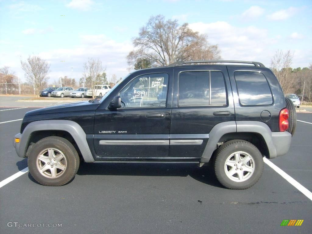 2002 Liberty Sport - Black / Dark Slate Gray photo #1