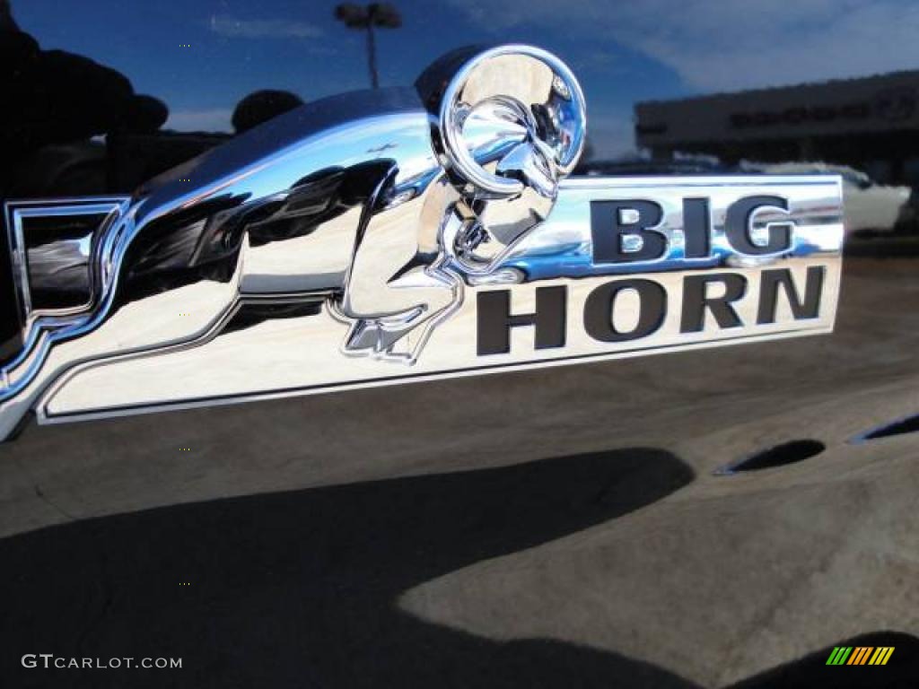 2010 Ram 2500 Big Horn Edition Crew Cab 4x4 - Brilliant Black Crystal Pearl / Dark Slate/Medium Graystone photo #10