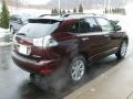 2008 Brandywine Mica Lexus RX 350 AWD  photo #5