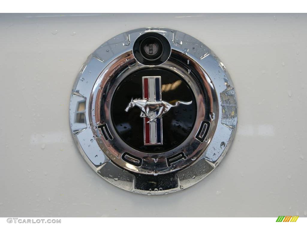 2005 Mustang V6 Premium Coupe - Performance White / Dark Charcoal photo #23