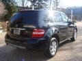 Black - ML 350 4Matic Photo No. 4