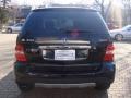 Black - ML 350 4Matic Photo No. 5
