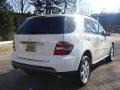 Arctic White - ML 350 4Matic Photo No. 4