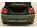 2000 Amazon Green Metallic Ford Mustang V6 Coupe  photo #18