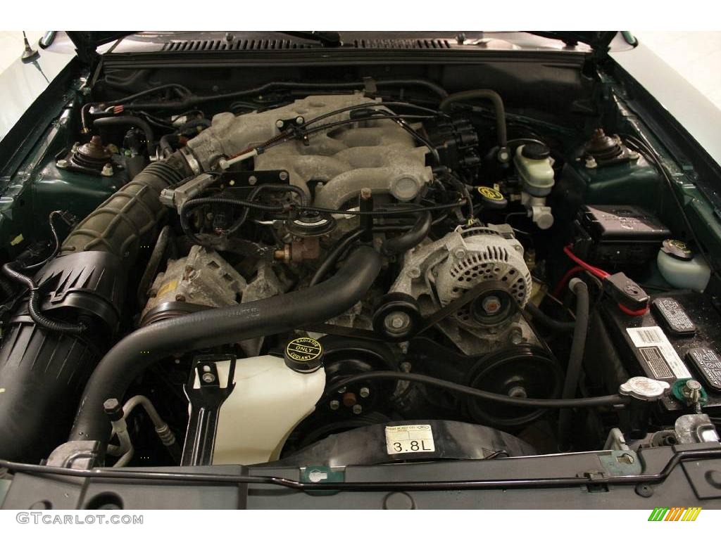 2000 Mustang V6 Coupe - Amazon Green Metallic / Medium Parchment photo #19