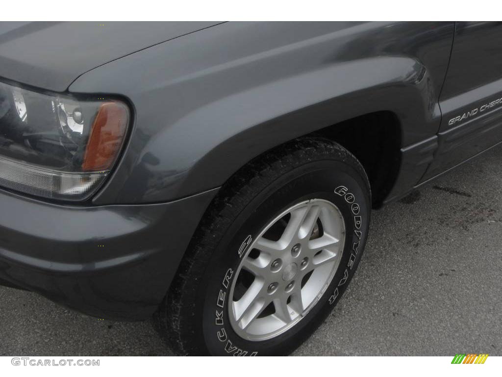 2004 Grand Cherokee Laredo 4x4 - Graphite Metallic / Dark Slate Gray photo #10