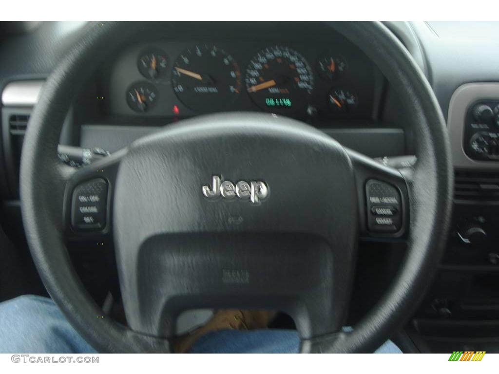 2004 Grand Cherokee Laredo 4x4 - Graphite Metallic / Dark Slate Gray photo #23