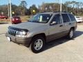 2003 Light Pewter Metallic Jeep Grand Cherokee Laredo  photo #1