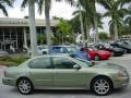 Millenium Jade Metallic - I 35 Photo No. 2