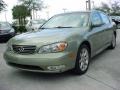 Millenium Jade Metallic - I 35 Photo No. 7