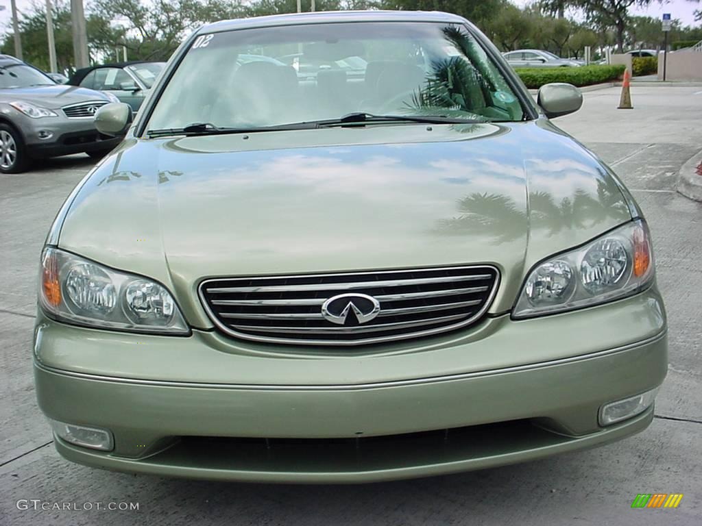 2002 I 35 - Millenium Jade Metallic / Willow photo #8