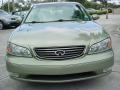 Millenium Jade Metallic - I 35 Photo No. 8