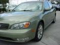 Millenium Jade Metallic - I 35 Photo No. 9