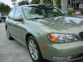 Millenium Jade Metallic - I 35 Photo No. 10
