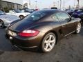 Macadamia Metallic - Cayman  Photo No. 7
