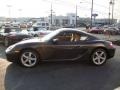 Macadamia Metallic - Cayman  Photo No. 10