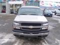 2004 Silver Birch Metallic Chevrolet Silverado 1500 Regular Cab  photo #8