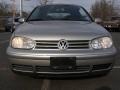 Desert Wind Metallic - Cabrio GLX Photo No. 2