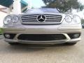 2005 Pewter Metallic Mercedes-Benz CL 65 AMG  photo #7