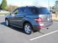 2010 Steel Grey Metallic Mercedes-Benz ML 350  photo #2