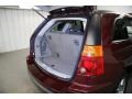Inferno Red Crystal Pearlcoat - Pacifica Touring Photo No. 12