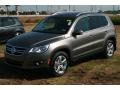 Alpine Grey Metallic - Tiguan Wolfsburg Edition Photo No. 3