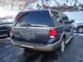 2003 Medium Wedgewood Blue Metallic Ford Expedition Eddie Bauer 4x4  photo #4