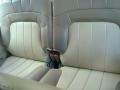 2004 Summit White GMC Envoy XL SLT 4x4  photo #12