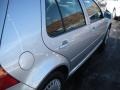 Reflex Silver Metallic - Golf GLS Sedan Photo No. 6