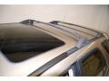 Burnished Gold Metallic - RX 300 Photo No. 31