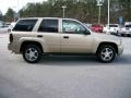 Sandstone Metallic - TrailBlazer LS Photo No. 6