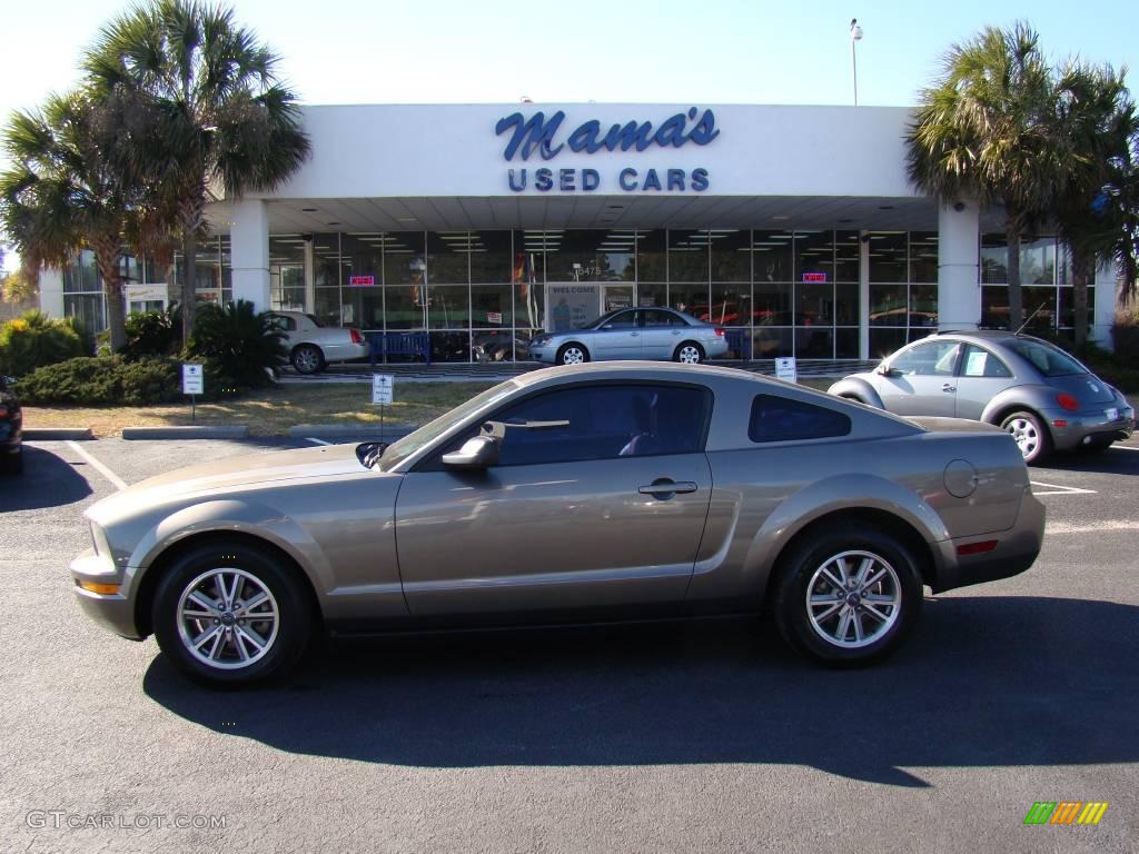 2005 Mustang V6 Premium Coupe - Mineral Grey Metallic / Dark Charcoal photo #1