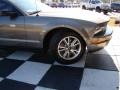 2005 Mineral Grey Metallic Ford Mustang V6 Premium Coupe  photo #28
