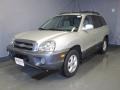 Pewter - Santa Fe GLS 4WD Photo No. 1