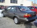 Dark Beige Metallic - Prizm  Photo No. 5