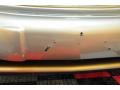 Light Sandrift Metallic - Century Limited Photo No. 17