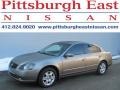 2006 Polished Pewter Metallic Nissan Altima 2.5 S Special Edition  photo #1