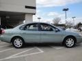 Light Tundra Metallic - Taurus SEL Photo No. 2