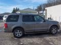 2003 Mineral Grey Metallic Ford Explorer Limited 4x4  photo #6