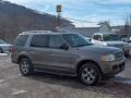 2003 Mineral Grey Metallic Ford Explorer Limited 4x4  photo #7