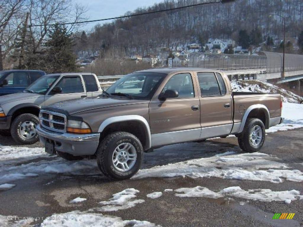 2001 Dakota SLT Quad Cab 4x4 - Light Almond Pearl / Taupe photo #1