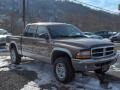 2001 Light Almond Pearl Dodge Dakota SLT Quad Cab 4x4  photo #6