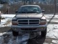 2001 Light Almond Pearl Dodge Dakota SLT Quad Cab 4x4  photo #7