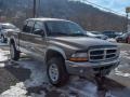 2001 Light Almond Pearl Dodge Dakota SLT Quad Cab 4x4  photo #8