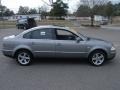 Stonehenge Grey Metallic - Passat GLX Sedan Photo No. 5