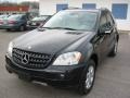Black - ML 350 4Matic Photo No. 1